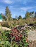 Куплю участок 6.2 соток , фотография обложки