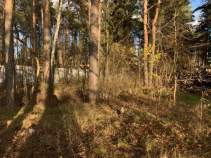 Купить участок 14.2 соток Купить участок 14.2 соток , фотография 5