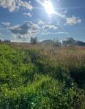 Куплю участок 1250.0 соток , фотография 4