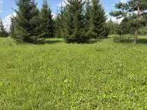 Продать участок 20.0 соток , фотография 2