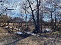 Куплю участок 15.0 соток , фотография 4