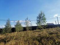 Купить участок 9.0 соток , фотография 7