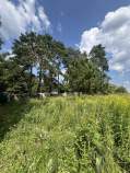 Покупка участок 8.0 соток , фотография 3