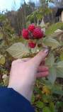 Купить участок 7.6 соток , фотография 9