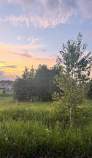 Покупка участок 20.0 соток , фотография 3