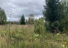 Покупка участок 8.0 соток , фотография 3