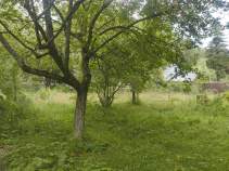 Купить участок 9.7 соток , фотография 6
