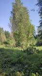 Купить участок 12.0 соток , фотография 6