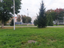Купить 1-комнатную квартиру , фотография 13