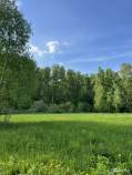 Куплю участок 6.0 соток , фотография обложки