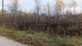 Продажа недвижимости Московская обл, г Домодедово, деревня Бортнево, тер Серебряный Родник  Цена на участок 10.0 соток , фотография 1