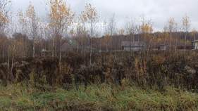 Продать участок 10.0 соток Московская обл, г Домодедово, деревня Бортнево, тер Серебряный Родник  Продать участок 10.0 соток , фотография 2