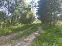 Купить участок 20.0 соток , фотография 6