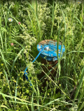 Купить участок 7.4 соток , фотография 5