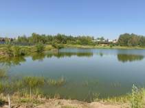 Покупка участок 18.0 соток , фотография 3