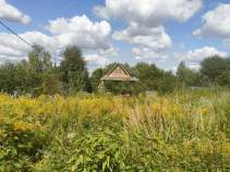Покупка участок 6.0 соток , фотография 3