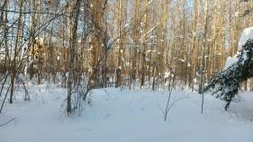 Купить участок 15.0 соток , фотография 5