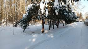 Купить участок 15.0 соток , фотография 6