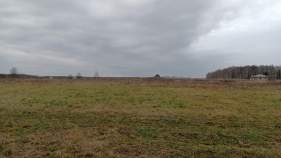 Покупка участок 5.0 соток , фотография 3