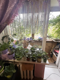 Купить 2-комнатную квартиру , фотография 6