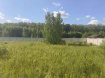 Куплю участок 11.0 соток , фотография 4