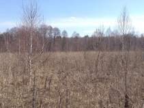 Продать участок 25.9 соток , фотография 2