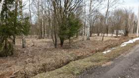 Покупка участок 6.0 соток , фотография 3