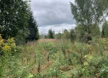 Куплю участок 8.0 соток , фотография обложки