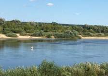 Куплю участок 15.0 соток , фотография 4