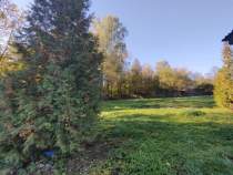 Фотография Земельный участок 25 соток, д. Пущино Куплю участок 25.0 соток , фотография обложки