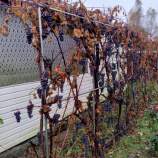 Купить дом на участке 30.0 соток , фотография 20