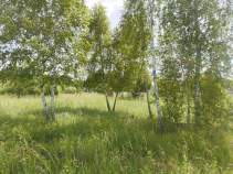 Продать участок 9.2 соток , фотография 2