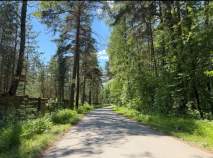 Купить участок 25.9 соток Калужская обл, Тарусский р-н, тер. ДНП Услимово Купить участок 25.9 соток , фотография 5