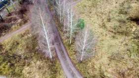 Покупка участок 10.0 соток , фотография 3