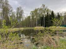 Продать участок 8.0 соток , фотография 2