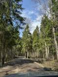 Купить участок 6.8 соток , фотография 8