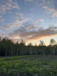 Продать участок 6.0 соток , фотография 2