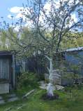 Покупка дом на участке  соток , фотография 3