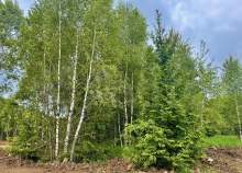 Продать участок 6.6 соток , фотография 2