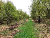 Купить участок 9.6 соток , фотография 8