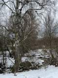 Купить участок 10.0 соток , фотография 6