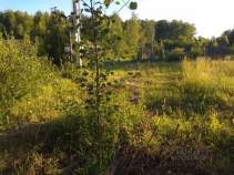 Куплю участок 10.0 соток , фотография 4