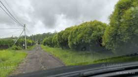 Купить участок 10.0 соток , фотография 9