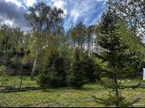 Куплю участок 10.0 соток , фотография 4