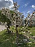 Купить дом на участке  соток , фотография 7