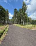 Куплю участок 6.0 соток , фотография 4