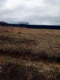 Цена на участок 6.0 соток , фотография 1