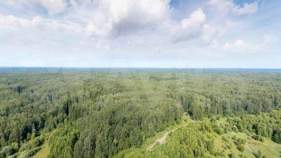 Покупка участок 8.8 соток , фотография 3