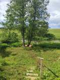 Куплю участок 5.0 соток , фотография 4
