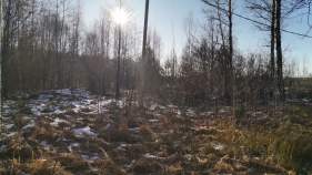 Цена на участок 12.0 соток , фотография 1